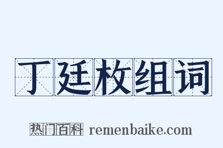 丁廷枚组词是什么意思的图片
